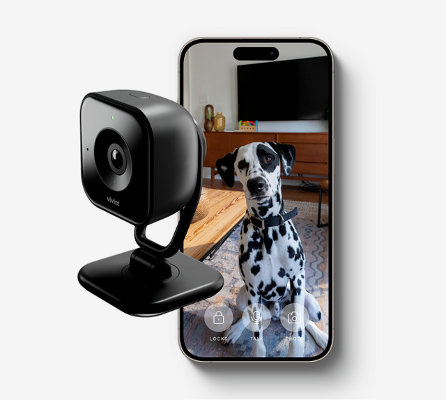 Security Camera Story